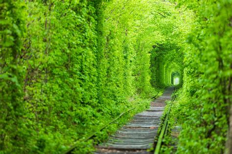 Il Ponte dell'Amore:  Un simbolo romantico e una struttura architettonica unica!