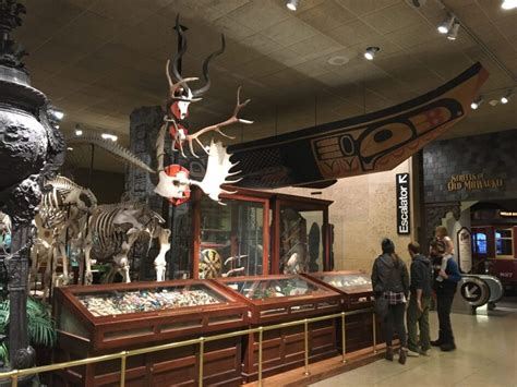 Il Museo di Storia Naturale di Milwaukee: Un Viaggio Attraverso Millenni e Specie!